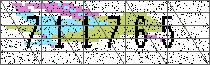 Loading Image
