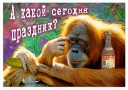 User Photo